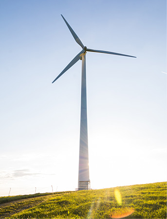 蘇州寶麗迪材料科技股份有限公司，化纖母粒，汽車用母粒，食品包裝用母粒，薄膜母粒，薄膜黑色母粒，薄膜白色母粒，滌綸色母粒，錦綸色母粒，塑料母粒